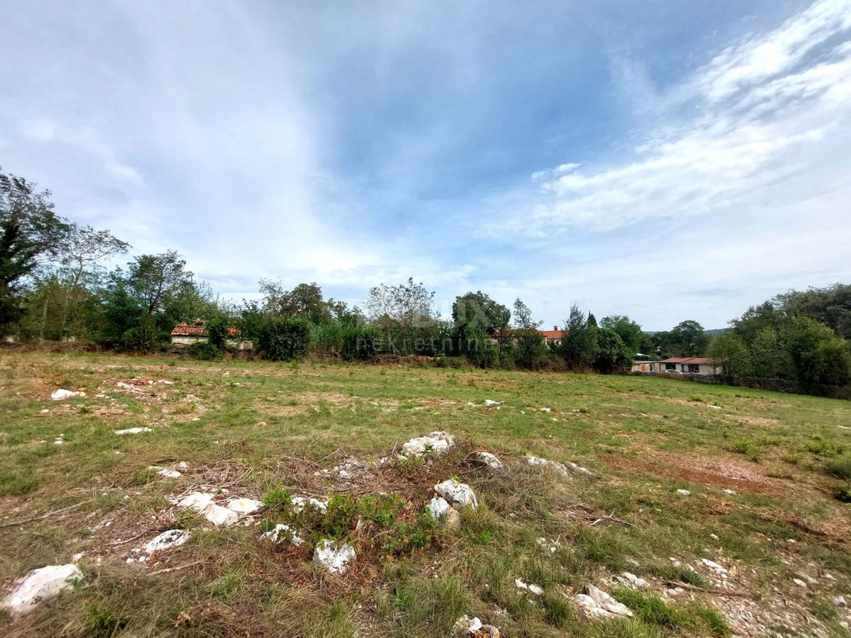 img-property