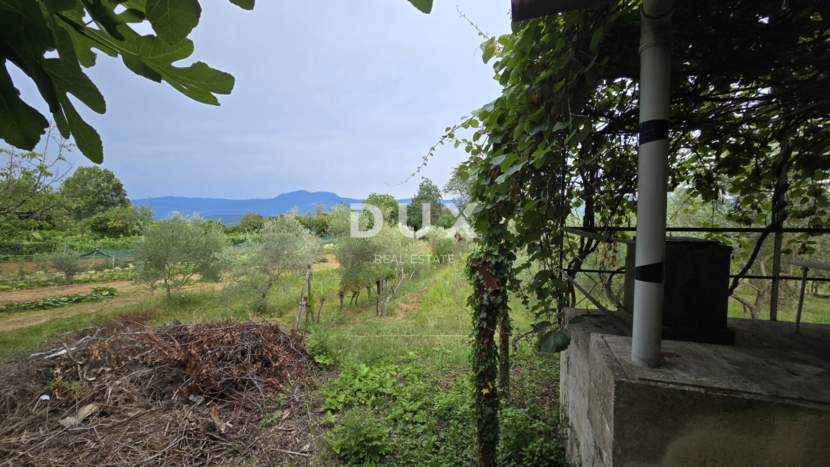 img-property