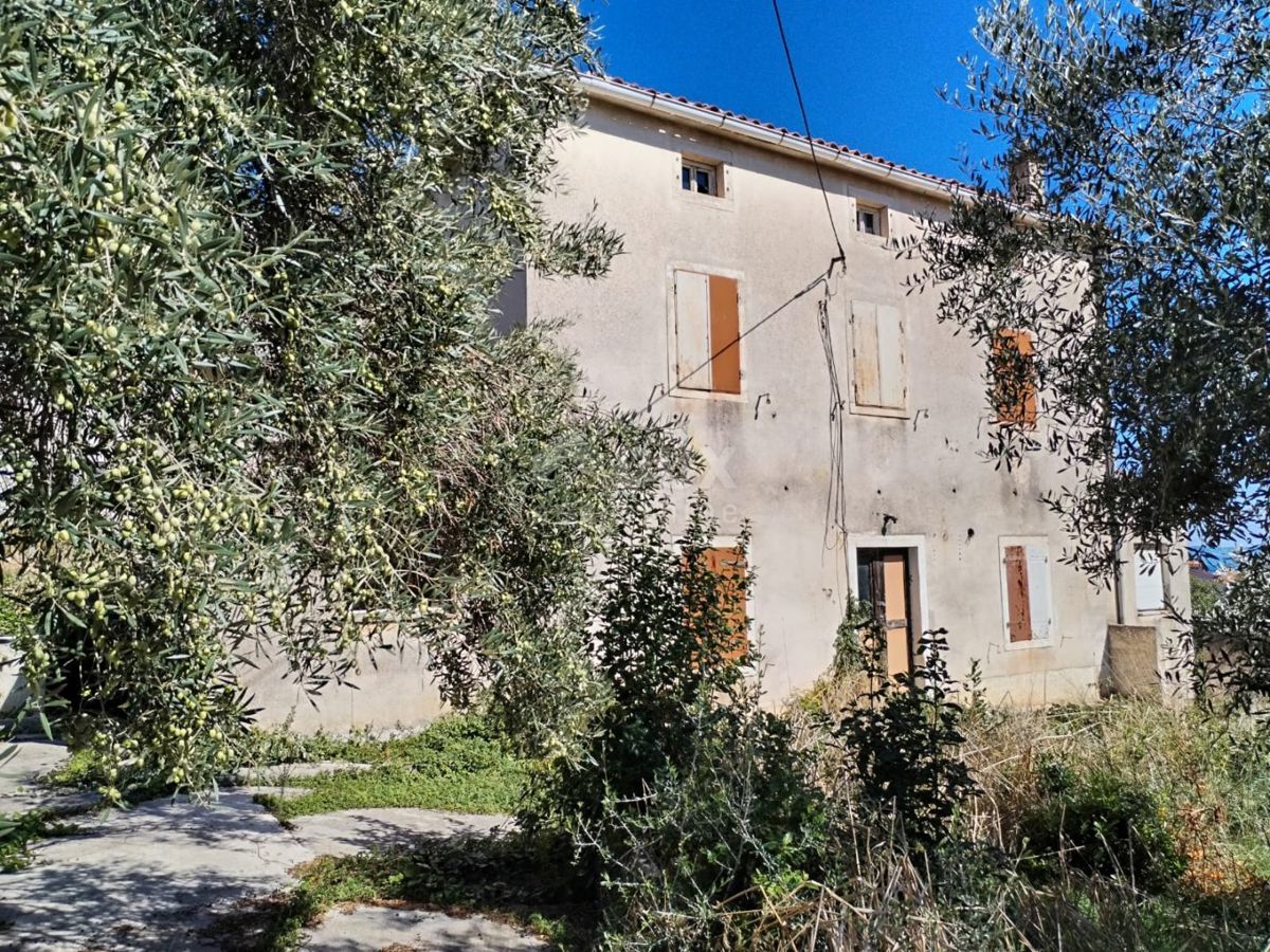 img-property