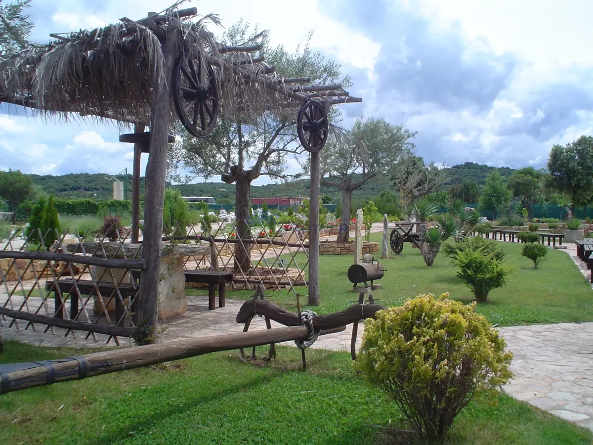 images
