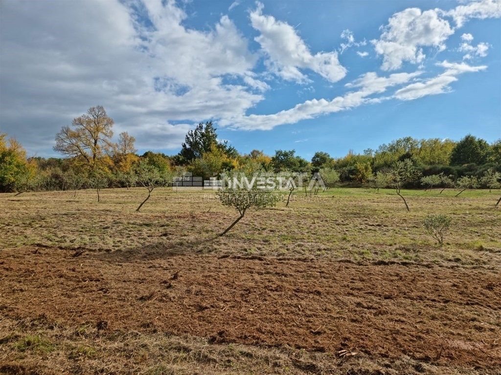 img-property