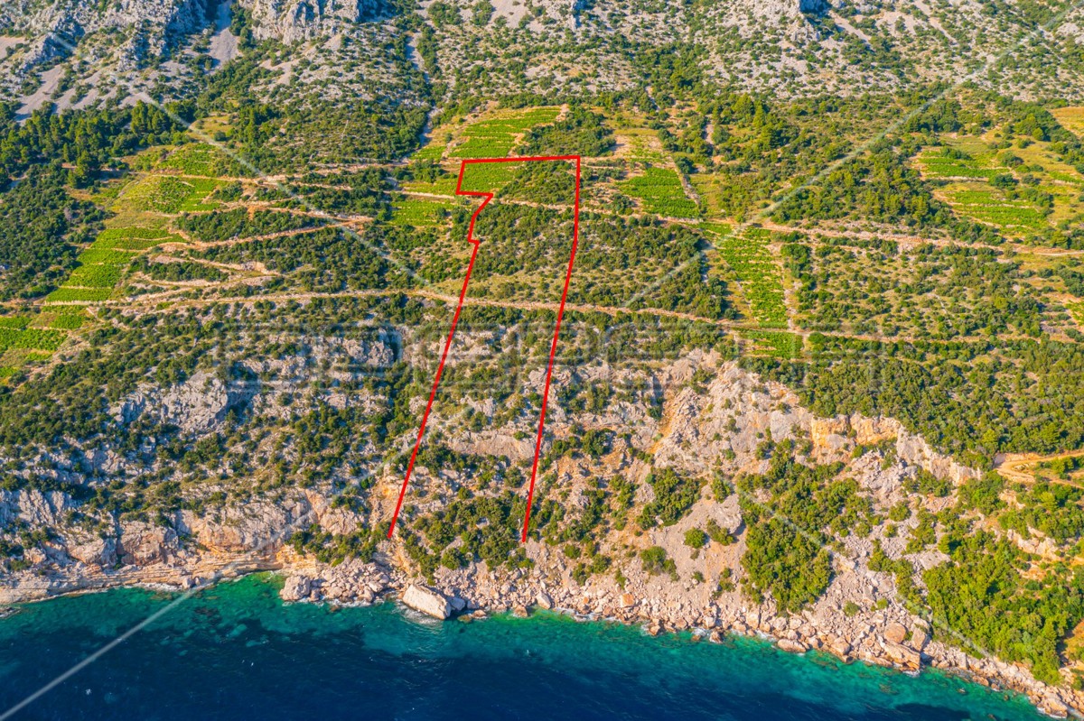 img-property