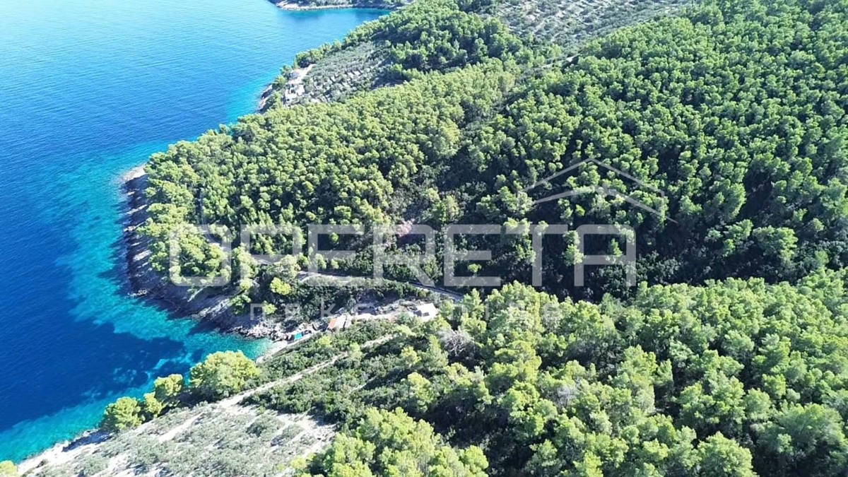 img-property